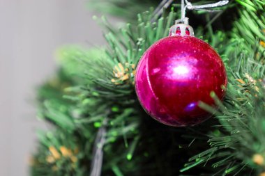 Parlak bir kapanışı olan kırmızı bir Noel balosu, bulanık ışık arka planına karşı yumuşak yeşil bir dalda asılı duruyor..