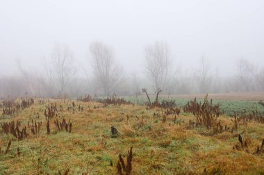 Kuru otlarla kaplı uçsuz bucaksız bir arazi ve yabani otlar, kasvetli bir gökyüzünün altında yavaş yavaş kalın beyaz bir sise dönüşür..