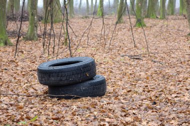İki eski siyah araba lastiği sonbahar ormanının ortasında sarı yapraklardan oluşan bir halıya bırakılmış..
