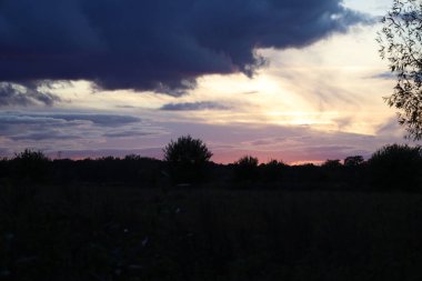 Yoğun bir sabah sisine batmış geniş bir tarlanın ortasında yalnız siyah bir köpek duruyor. Bu atmosferik kırsal alan, sonbahar ya da kış boyunca doğanın bir huzur, sessizlik ve gizemini taşır..