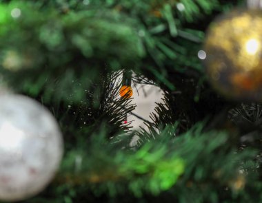 Sıcak turuncu bir çelenk ışığı, bir Noel ağacının kalın yeşil dallarından süzülerek bir rahatlık ve tatil beklentisi ortamı yaratır..