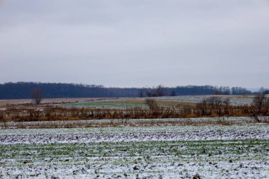 İlk kar tabakası ince bir katmanla kaplı engin tarım alanları kasvetli kış gökyüzünün altında uzanıyor. Donmuş zemin ve uzak bir orman hattı olan bu sakin kırsal alan, sonbaharın sonlarında ya da kışın başlangıcında huzurlu bir atmosferi taşır.
