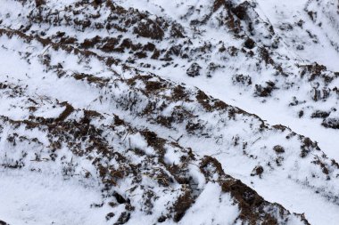 İlk ince kar tabakasıyla kaplı yeni sürülmüş bir toprak makro çekimi. Görüntü koyu nemli toprak ve kristal berrak kar arasındaki kontrastı gösteriyor. Doğal bir grafik deseni yaratıyor..