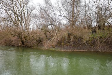 Yeşil suyu olan sakin bir nehir, kasvetli bir günde sık ağaçlar ve çalılarla kaplı bir kıyıdan geçer. Baharın erken veya sonbaharın vahşi doğası sessizlik, yalnızlık ve doğal huzur ortamı yaratır..
