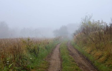 Kasvetli bir sonbahar manzarasının ortasında, yoğun bir sabah sisinin içinde kaybolan kırsal bir toprak yol. Pist boyunca uzanan uzun otlar ve yabani otlar kırsal alanda melankolik bir sessizlik ve sınırlı görüş ortamı yaratıyor..