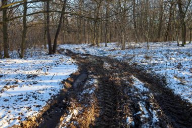 Derin tekerlek rünleri, eriyen karlar ve dökülen yapraklardan arta kalan çamurlu bir orman yolunda kesiliyor. Ağaçların altındaki karanlık toprak ve beyaz kaplama arasındaki zıtlık atmosferi taşıyan sert bir manzara yaratır.