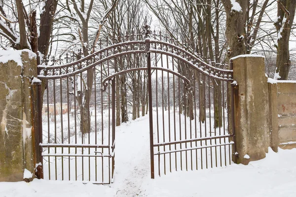 Uzun ağaçlarla kaplı bir ara sokağa açılmış zarif metal desenli dantelli antik demir kapılar. Paslı demir ve saf beyaz karın kontrastı, gizemli ve nostaljik bir atmosfer yaratarak, barışçıl bir yürüyüşü davet eder.