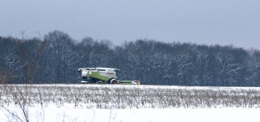 Lviv, Ukrayna - 7 Ocak 2026: Karlı bir tarlanın ortasında yoğun bir kış ormanına karşı kasvetli bir gökyüzü altında modern bir Claas tarım biçicisi duruyor.