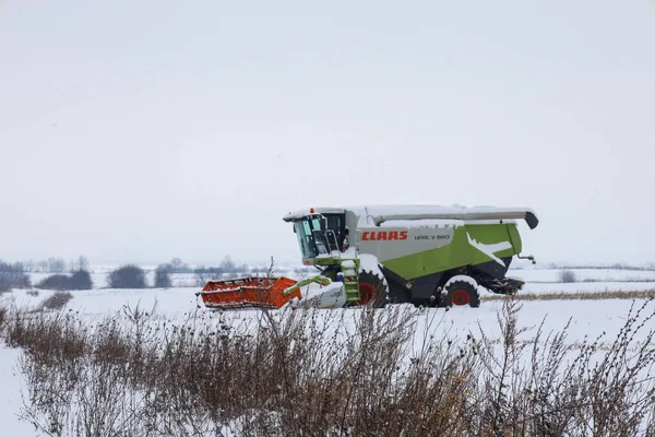 Lviv, Ukrayna - 07 Ocak 2026: Bir Claas Lexion 580 tahıl hasatçısı kış uykusunda karlı bir tarlanın ortasında duruyor..