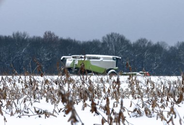 Bir tahıl hasatçısı karlı bir tarlada çalışır, ön plandaki kuru donmuş soya saplarından görülebilir. Sahne, kışın hasat zamanındaki zorlukları gösteriyor.,