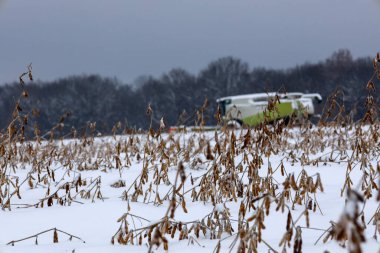 Donmuş soya fasulyesi, karlı bir tarlada çalışan bir biçerdöverin bulanık silüetiyle ön planda kontrastta duruyor. Bu sahne sert kış koşullarında hasat yapmanın zorluğunu vurgular.,