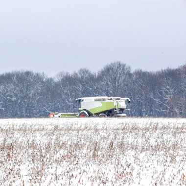 Yeşil bir biçerdöver verimli bir şekilde karlı bir tarlada çalışır ve kış ayazları sırasında soya veya mısır mahsulü toplar. Çelişkili sahne, buzla kaplı bir ormanın arka planına karşı modern tarım makinelerinin dayanıklılığını gösteriyor.