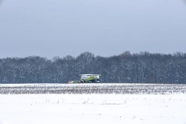 Güçlü bir yeşil biçerdöver, beklenmedik kış ayazları sırasında karla kaplı bir arazide çalışır. Tarım makineleri, buzla kaplı bir ormana karşı beyaz bir arazide çalışır.,