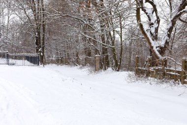 Geniş, karlı bir yol eski bir çit boyunca uzanır ve kalın, taze kar tabakasıyla kaplı uzun ağaçlar. Uzak bir kapısı olan sakin kış manzarası, sıcak bir kırsal ya da şehir parkındaki soğuk bir günün huzurlu atmosferini taşır..