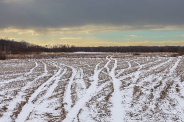 Çarpıcı bir kış gökyüzünün altında, uzak bir ufka uzanan farklı araba lastiği izleri olan geniş bir kar tarlası. Bu barışçıl kırsal alan bir seyahat ve uzaklık atmosferi taşır.,