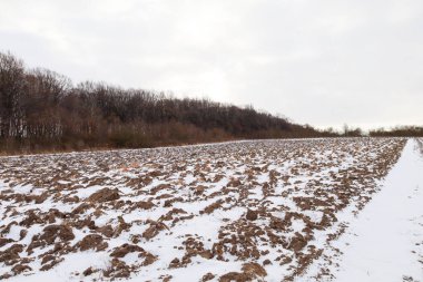 Yoğun bir kış ormanı duvarı boyunca taze beyaz karla kaplı kara toprak yığınlarıyla tarlaya sürülmüş. Bulutlu bir gökyüzü altındaki huzurlu kırsal alan, soğuk havada tarlaların büyüklüğünü ve açık uzayın doğal uyumunu taşır. .