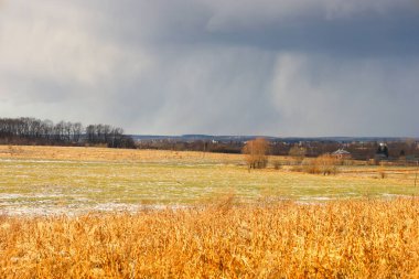 A wide field with dry golden grass and patches of melting snow stretches to the horizon under an overcast sky. In the background, streaks of heavy rain are visible,
