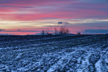 Pembe ve mor bulutlarla inanılmaz parlak bir gün batımı. Karlı bir tarlanın üzerindeki gökyüzünü renklendiriyor. Ufuktaki karanlık ağaç siluetleri soğuk karlı zemin ve akşam parlamasıyla tezat oluşturuyor.