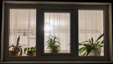 Akşamları, şeffaf bir tülün arkasındaki pencere pervazında çeşitli kapalı saksı bitkileriyle süslenir..