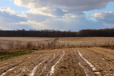 Kırsal bölgede, kayan bulutlu bir gökyüzünün altında ilk kar ile hafifçe tozlanmış, hasat edilmiş arazi kalıntıları var. Bir orman hattı ufku işaretlerken, ahşap bir çit boşluğu bölerek, sonbaharın sonlarında veya kışın ilk zamanlarında kırların atmosferini yakalar.