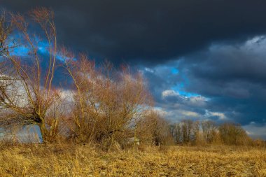 Altın bir sonbahar tarlasında beliren ağır mavi bulutlarla dramatik fırtınalı bir gökyüzü. Parlak güneş ışığı, yaklaşan fırtınadan önce parlayan dünya ile karanlık ufuk arasında güçlü bir tezat oluşturan çıplak ağaç dallarını aydınlatır..