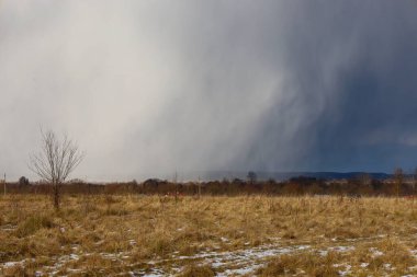 Dramatik bir kar perdesi ya da kalın bir sis, kuru çimenler ve eriyen kar parçalarıyla altın bir tarlaya iner..