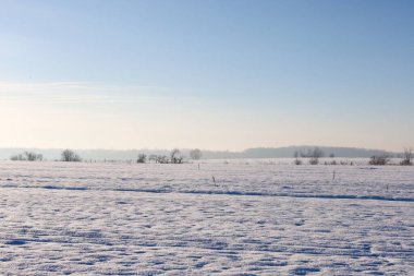 Açık mavi gökyüzünün altında karla kaplı geniş bir alan sınırsız bir kış alanı hissi yaratır. Karların ritmik dokusu yumuşak gölgelerle kaplanır ve uzak ufuktaki ağaçların zar zor görülebilen ana hatları temiz bir ufkun huzurunu ve saflığını taşır.