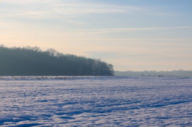 Karla kaplı, farklı bir yay dokusu olan bir tarla, yumuşak bir sabah göğünün altında orman sınırına kadar uzanıyor. Şeffaf bulutlardan gelen yumuşak altın ışık huzurlu ve biraz da gizemli bir atmosfer yaratır. Sıcak bir kırsalda kış gündoğumu..