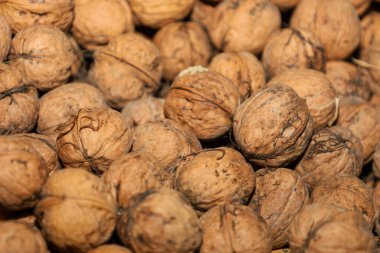 Çok sayıda ceviz kabukları zengin bir sonbahar hasadı olarak bir araya toplandı. Makro çekim, güçlü kabukların doğal buruşuk dokusunu ve kahverengi rengini vurguluyor ve bir ev konforu atmosferi taşıyor.,