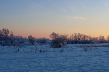 Kış şafağının narin pembe ışığı karlı bir tarlanın üzerindeki gökyüzünü ve kalın kırağı kaplayan ağaçları renklendirir. Buz gibi sessizlik ve yumuşak gölgeler kabartmalı kar üzerinde bir barış ortamı yaratıyor ve doğanın büyülü bir uyanışı..
