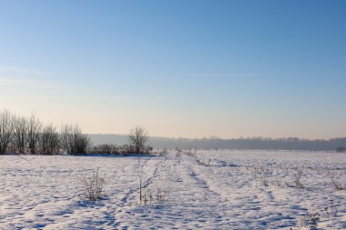 İzlerden oluşan dantelli geniş bir karlı tarla, parlak bir gökyüzünün altındaki uzak ufka doğru yol alıyor. Solda bir sıra çıplak çalı ve orman kuşağının üzerinde hafif bir sis sessizliği ve soğuk tazelikleri taşıyan barışçıl minimalist bir manzara yaratır.