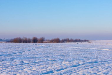 Buz tutmuş bir kış gününde açık mavi gökyüzünün altında geniş, karlı bir tarla ve izlerle kaplı bir patika. Ufuktaki bir sıra çıplak kahverengi çalı bu huzurlu manzaraya derinlik katar.,