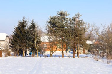 Uzun, kozalaklı ve yaprak döken ağaçlarla çevrili, taze kar tabakasıyla kaplı, rahat bir kır evi. Açık mavi gökyüzü ve parlak güneş ışığı kırsalda güzel bir kış günü için sakin bir atmosfer yaratır..