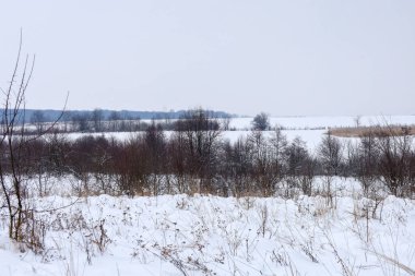 Yoğun çalıları ve ender ağaçlarıyla karla kaplı tepeler parlak bir kış gökyüzünün altında açılır. Çok katmanlı kırsal alan, doğanın acımasız güzelliğini yansıtıyor, bir boşluk hissi yaratıyor.,