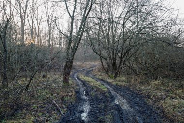 Yoğun ve yapraksız bir ormanın ortasında çamurlu ve ıslak tekerlek röleleri toprak bir yoldan geçiyor. Sonbaharın sonları ya da ilkbaharın başlarındaki kasvetli manzara geçiş dönemi boyunca bir off-road arazisi, rutubet ve yaban hayatı atmosferi taşır..