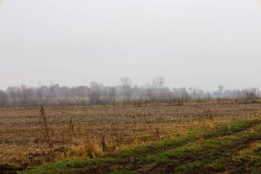 Uçsuz bucaksız bir tarımsal alan gri kasvetli bir gökyüzünün altında yoğun sabah sisine dönüşür. Kuru sakal, yalnız ağaçlar ve uzaktaki evlerin siluetleri melankolik bir sonbahar manzarası yaratır.