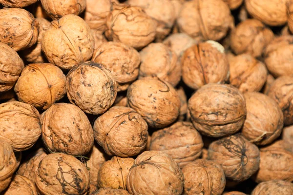 Çok sayıda kabuklu ceviz doğal kahverengi tonlu yoğun dokulu bir kompozisyon oluşturur. Detaylı bir makro resim, her meyvenin üzerindeki benzersiz kırışıklıkları ve düzensizlikleri vurgular. Bu da zengin bir hasat olduğunu gösterir..