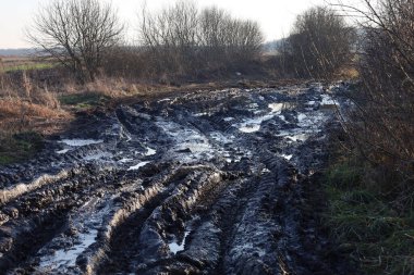 Derin tekerlek izlerine ve su birikintilerine sahip bulanık toprak bir yol vahşi bir kırsal alandan geçiyor. Yol kenarındaki nemli çamur ve çalılar, sonbahar-kış döneminde sert off-road koşullarını vurgular..