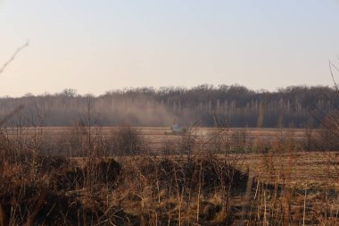 Güneşli bir günde, tarlada çalışan tarımsal bir biçerdöveri, sık bir ormanın arka planına karşı uzaktan görmek..