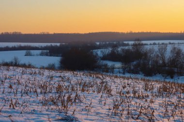Altın bir kış günbatımı, açık turuncu bir gökyüzünün altında kuru çimenler ve uzak orman siluetleri ile karlı tarlaları aydınlatır..