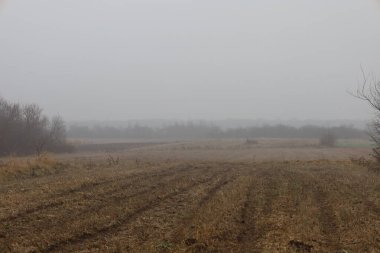 Yoğun sis altındaki boş bir tarla sonbahar sonu ya da ilkbahar başında melankolik bir atmosfer yaratır. Gri sislerin arasından çok az görülebilen uzak ağaçlar çizgisi huzuru vurguluyor.,