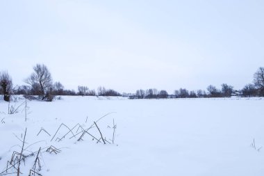 Sonsuz bir kar tarlası hafif bir kış gökyüzünün altında uzanıyor ve saflık ve sükunet ortamı yaratıyor. Kuru çimenler ön plandaki kalın beyaz kar tabakasını dürterek uzaktaki ağaç siluetlerini görünür hale getiriyor..