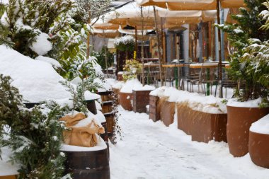 Lviv, Ukrayna - 24 Ocak 2026: Ağaç küvetleri ve kozalaklı bitkilerle dolu bir açık hava kafesinin sıcacık terası.