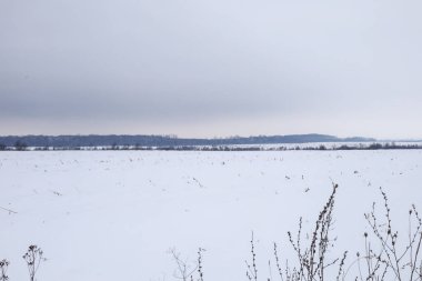 Derin bir kar tabakasıyla kaplı engin beyaz bir tarla karanlık bir kış gökyüzünün altında ufka kadar uzanıyor..