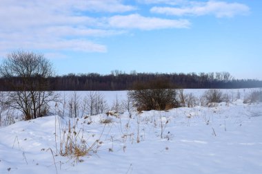 Geniş, karlı bir tarla, hafif bulutlu, yumuşak mavi gökyüzünün altında kalın bir orman hattıyla sınırlıdır. Ön plandaki kuru otlar ve dağınık çalılar el değmemiş beyaz uzayın ortasında farklı bir doku oluşturur..