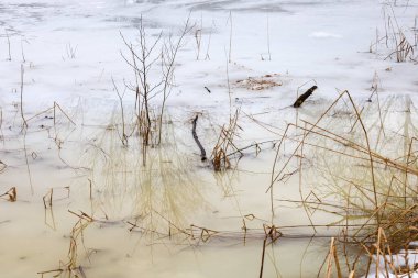 Eriyen suyun, kuru çimenleri ve donmuş bir su kütlesinin kenarındaki sazlıkları taşırdığı kaynak erimesinin yakın plan çekimi..