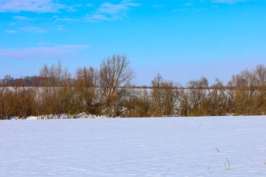 Soğuk ve güneşli bir günde açık mavi bir gökyüzünün altında geniş bir karla kaplı alan ufka kadar uzanıyor. Bir sıra çıplak ağaç ve çalı, beyaz çölde doğal bir sınır oluşturur. Kış doğasının sakin ve görkemli atmosferini taşır..