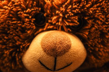 Yumuşak kahverengi kürklü, büyük yuvarlak burunlu ve küçük koyu renk gözlü yumuşak bir oyuncak ayının makro portresi. Materyal ve sıcak ışığın detaylı dokusu rahatlık, çocukluk sevinci ve hoş anılar yaratıyor..