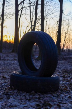İki eski araba lastiği batan güneşe karşı bir kış ormanının ortasında terk edilmiş. Endüstriyel atık ve vahşi doğa arasındaki zıtlık, çevre kirliliği ve ekolojik kriz sorununu vurguluyor.