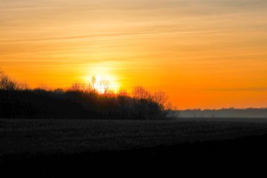 Parlak akşam güneşi ağaç siluetlerinin arkasında batıyor, gökyüzünü turuncu ve altın renklerle boyuyor. Ön planda koyu renkli bir tarla ufkun sıcak ışığıyla derin bir zıtlık yaratır..